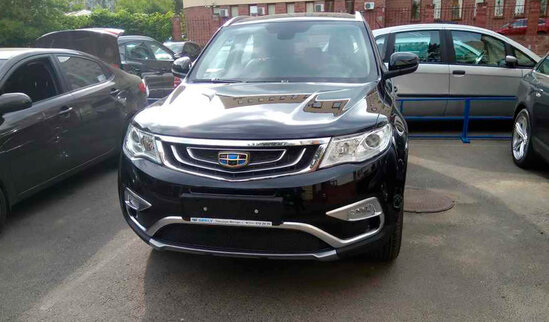 Сетка-на-бампер-внешняя-для-Geely-Atlas-2017--черн-15-яч.jpg