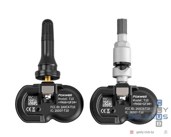 Foxwell T10