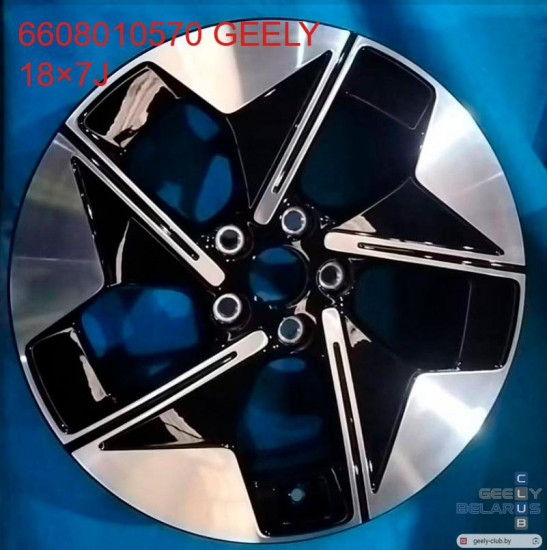 EX-5-rim18.jpg